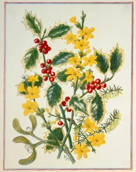 Stechpalme, Winterjasmin, Heidekraut und Mistel